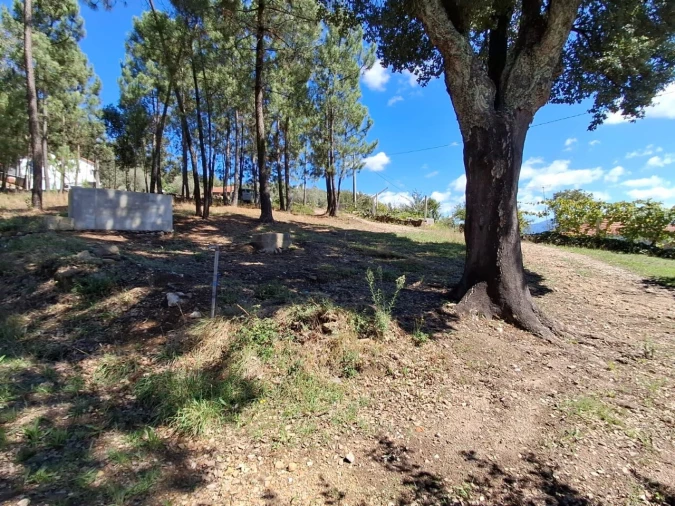 Moradia T3 para Venda em São Miguel do Mato Foto 15