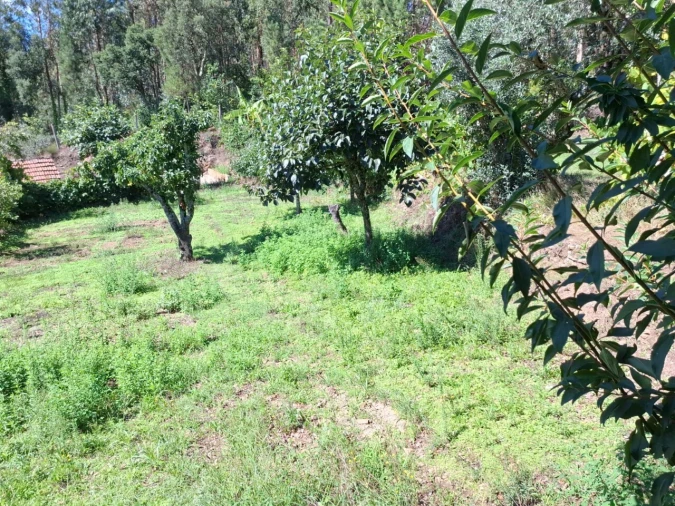 Moradia T3 para Venda em São Miguel do Mato Foto 19