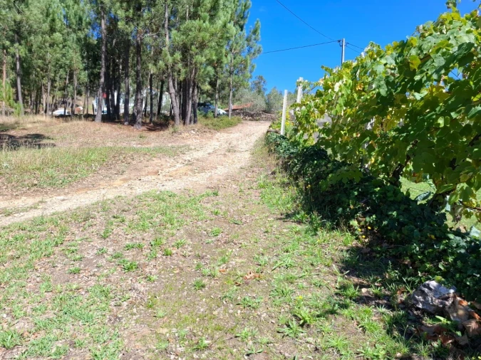 Moradia T3 para Venda em São Miguel do Mato Foto 27