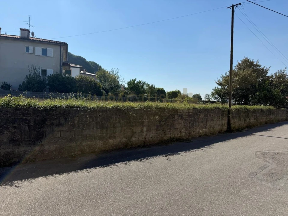 Terreno para Venda em Muro Foto 4