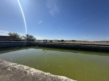 Quinta T3 para Venda em Sousel