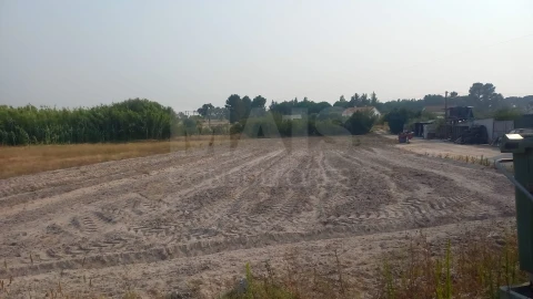 Loja para Venda em Branca