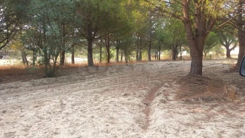 Loja para Venda em Branca