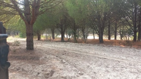 Loja para Venda em Branca