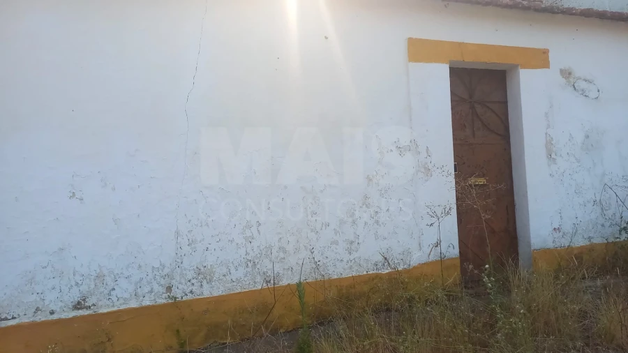 Loja para Venda em Branca Foto 7