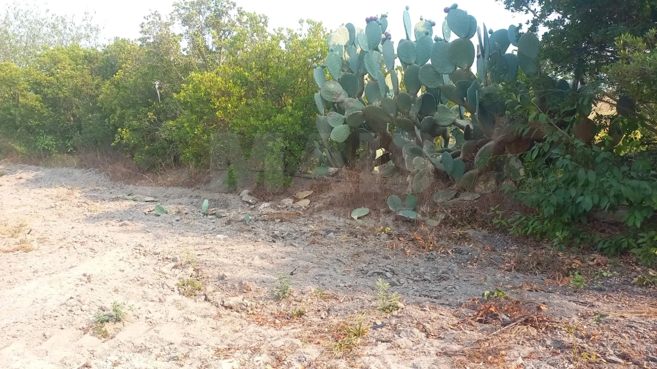 Loja para Venda em Branca Foto 5