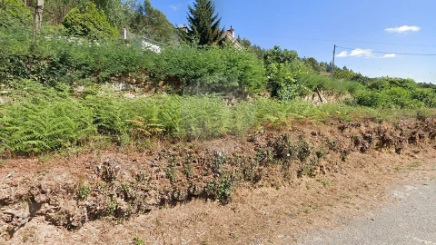 Terreno para Venda em Ossela