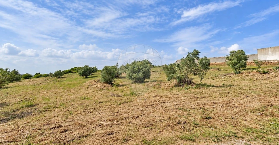 Terreno para Venda em Santa Iria de Azoia, São João da Talha e Bobadela Foto 5