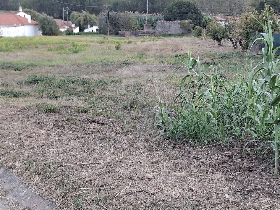 Moradia T0 para Venda em Rio Maior Foto 4