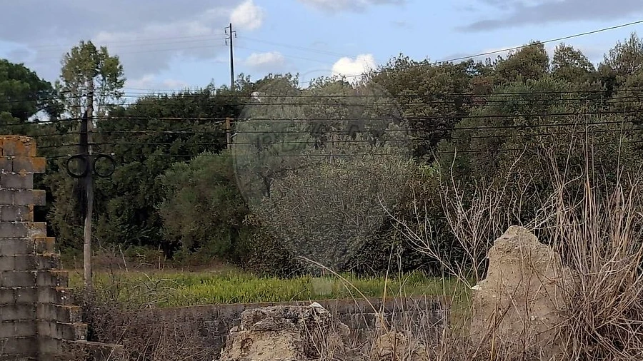 Moradia T0 para Venda em Rio Maior