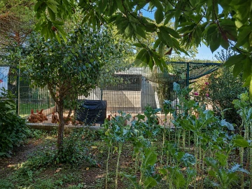 Moradia T3 para Venda em Bustos, Troviscal e Mamarrosa