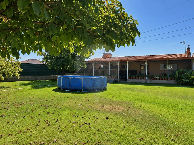 Moradia T3 para Venda em Bustos, Troviscal e Mamarrosa Foto 15