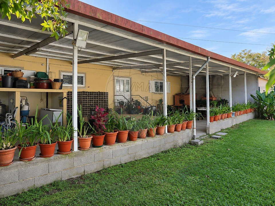 Moradia T3 para Venda em Bustos, Troviscal e Mamarrosa Foto 37