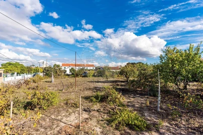 Terreno para Venda em Fernao Ferro