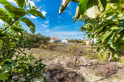 Terreno para Venda em Fernao Ferro