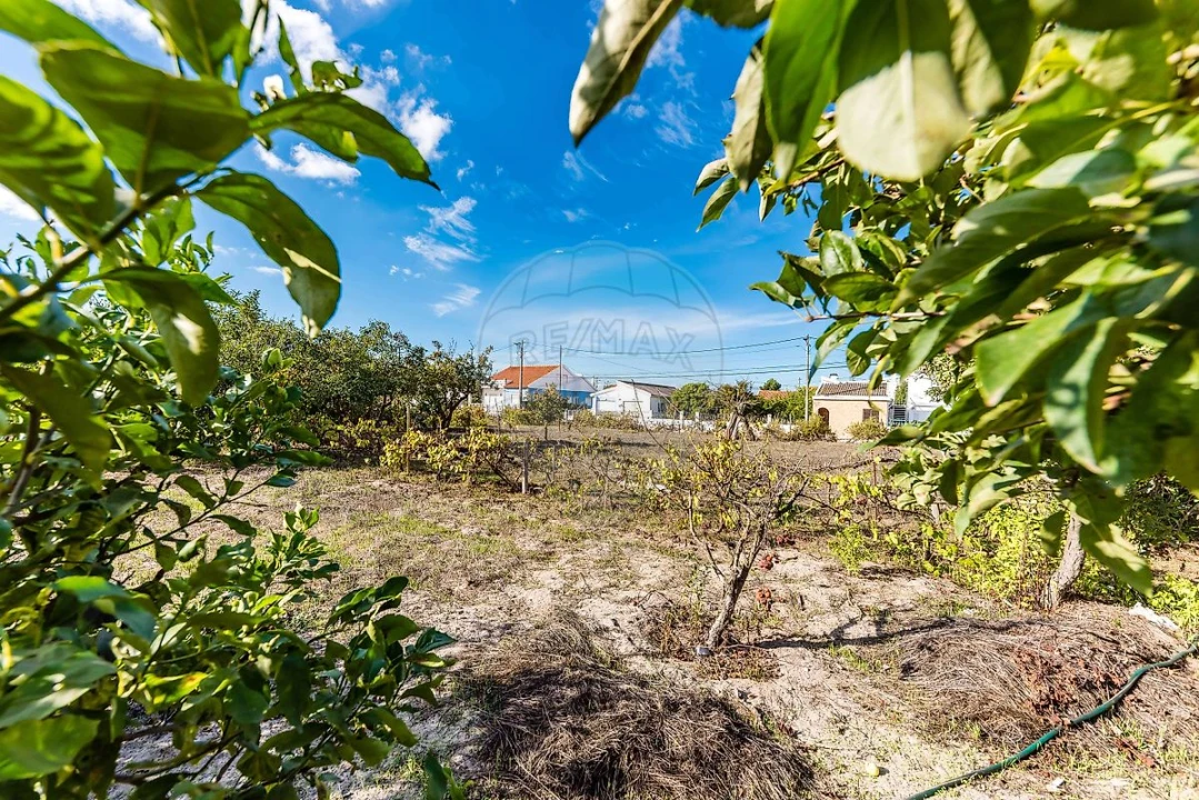 Terreno para Venda em Fernao Ferro Foto 24