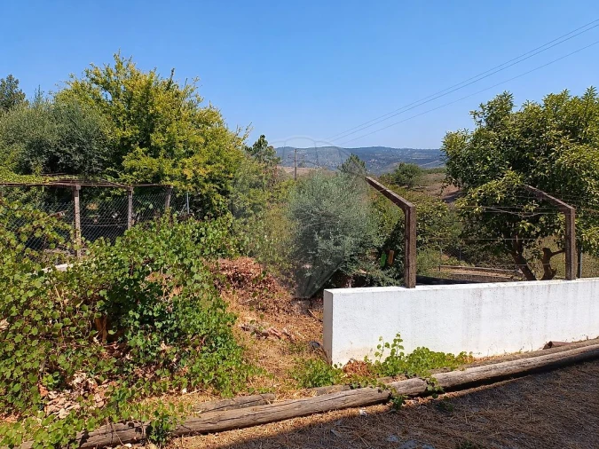 Moradia T3 para Venda em Ortiga Foto 3
