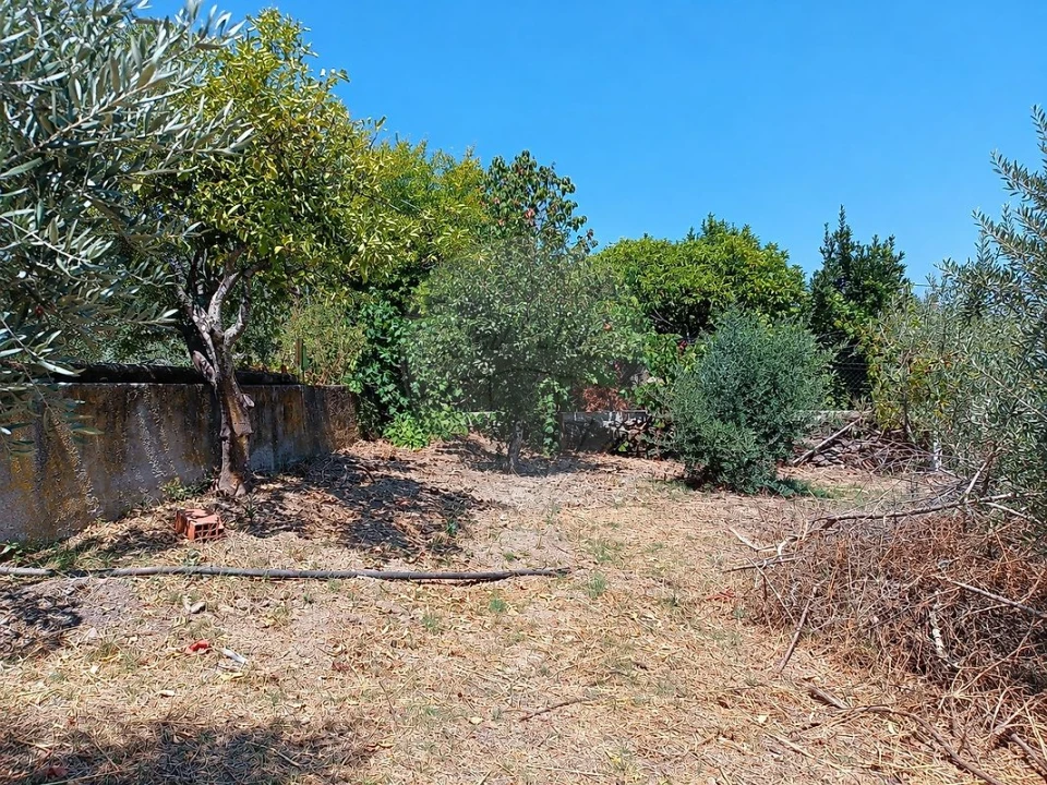 Moradia T3 para Venda em Ortiga Foto 4