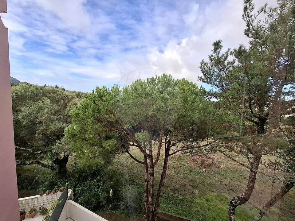 Apartamento T3 para Venda em Santa Maria e São Miguel, São Martinho, São Pedro Penaferrim Foto 4