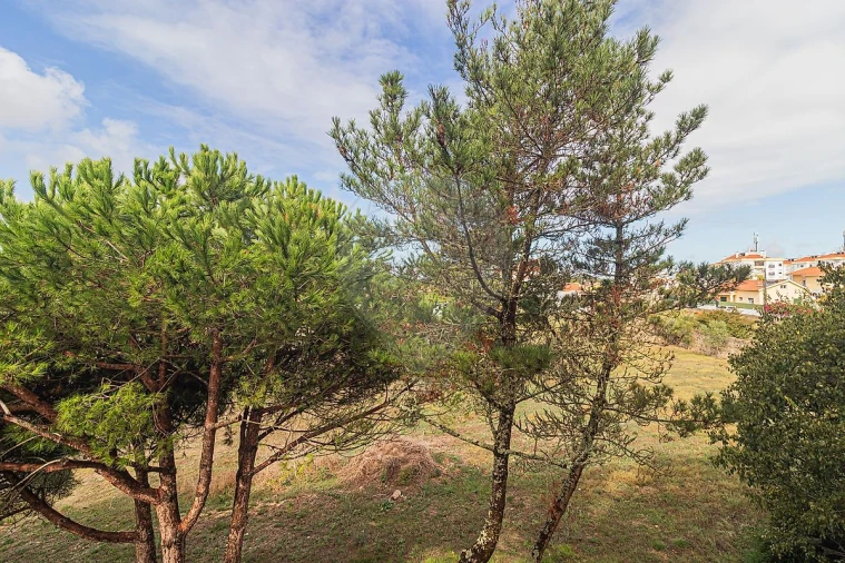 Apartamento T3 para Venda em Santa Maria e São Miguel, São Martinho, São Pedro Penaferrim Foto 31