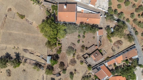 Quinta T
           para Arrendamento em São Bras e São Lourenço