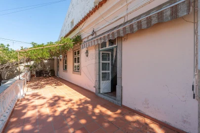 Quinta T
           para Arrendamento em São Bras e São Lourenço