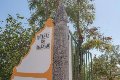 Quinta T
           para Arrendamento em São Bras e São Lourenço