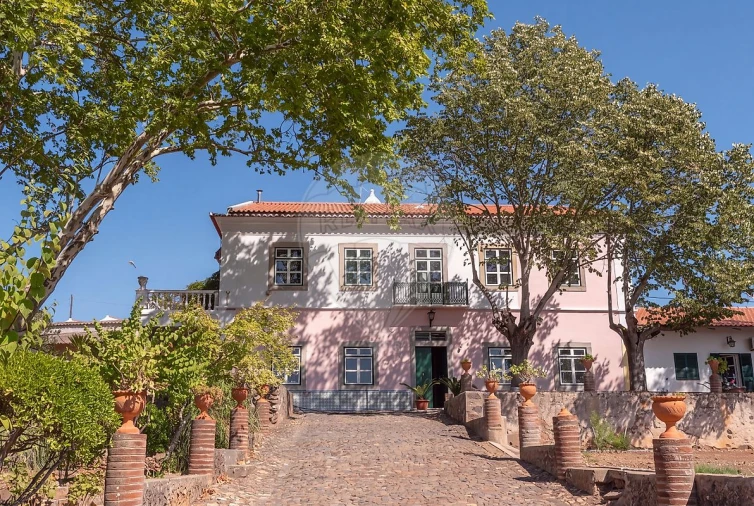 Quinta T
           para Arrendamento em São Bras e São Lourenço Foto 27