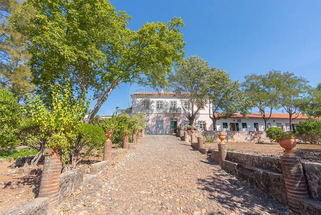 Quinta T
           para Arrendamento em São Bras e São Lourenço Foto 25