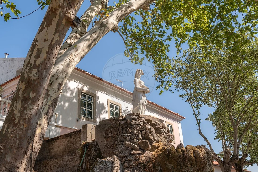 Quinta T
           para Arrendamento em São Bras e São Lourenço Foto 3