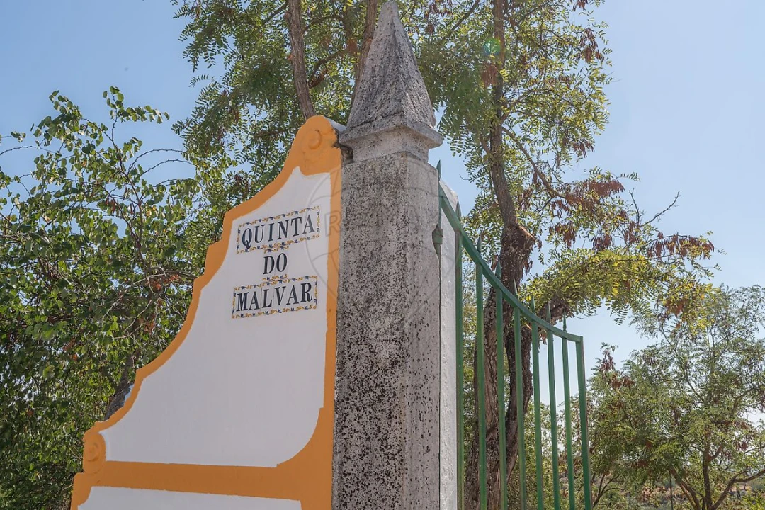 Quinta T
           para Arrendamento em São Bras e São Lourenço Foto 9
