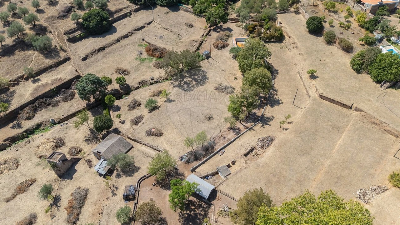 Quinta para Venda em São Bras e São Lourenço Foto 10