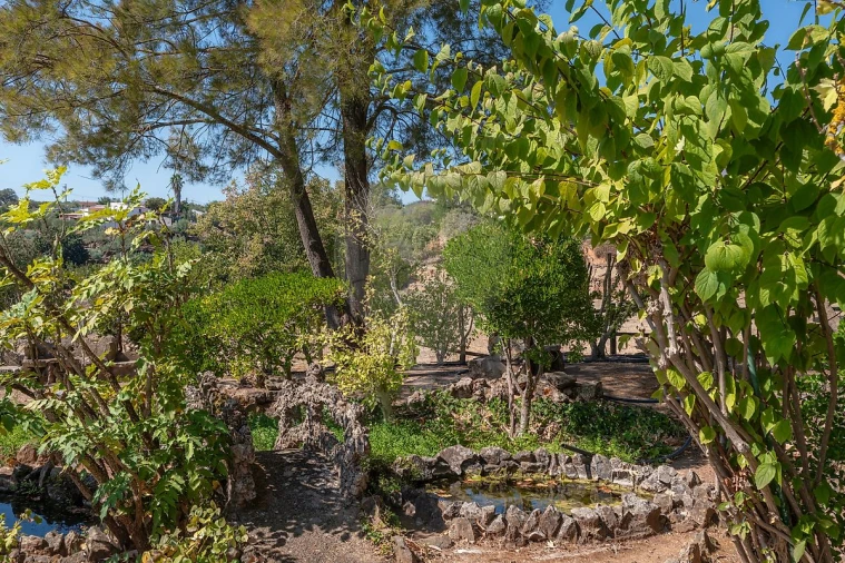 Quinta para Venda em São Bras e São Lourenço Foto 15