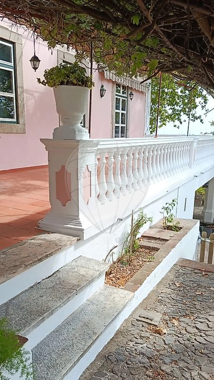 Quinta para Venda em São Bras e São Lourenço Foto 3
