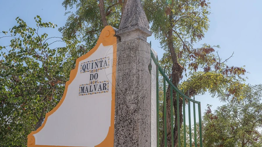 Quinta T12 para Venda em São Bras e São Lourenço