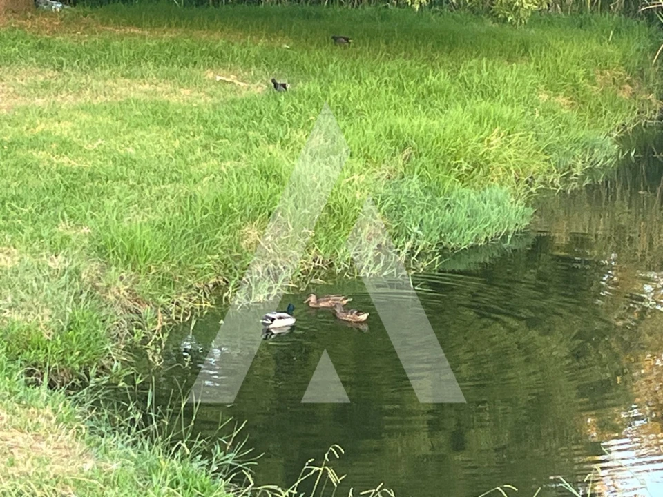 Loja para Arrendamento em Malagueira e Horta das Figueiras Foto 7