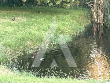 Loja para Arrendamento em Malagueira e Horta das Figueiras