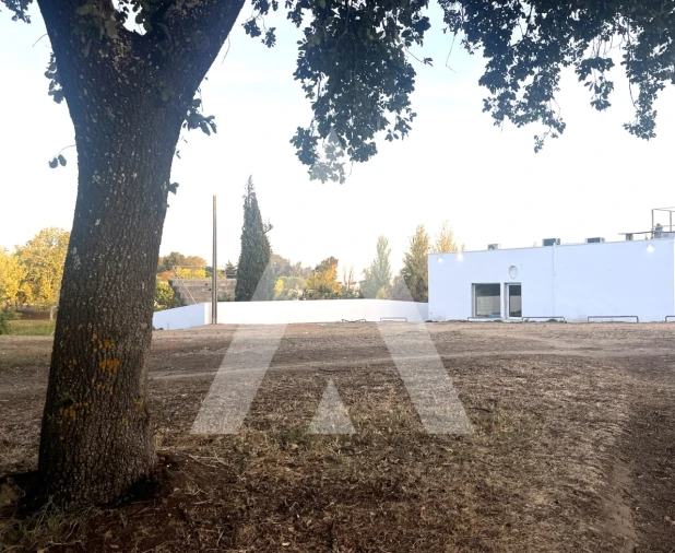 Loja para Arrendamento em Malagueira e Horta das Figueiras Foto 2