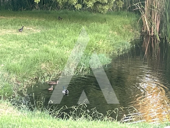 Loja para Arrendamento em Malagueira e Horta das Figueiras Foto 6