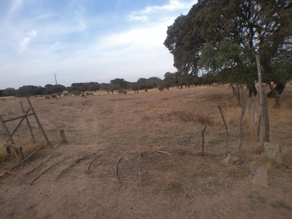 Terreno Agricola ou Rústico para Venda em Barbacena e Vila Fernando Foto 1