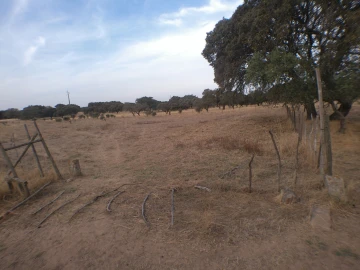 Terreno Agricola ou Rústico para Venda em Barbacena e Vila Fernando