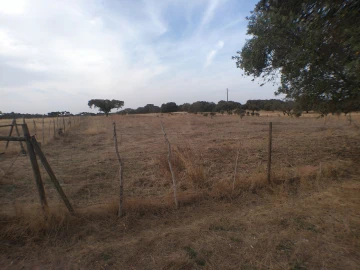 Terreno Agricola ou Rústico para Venda em Barbacena e Vila Fernando