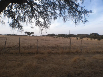 Terreno Agricola ou Rústico para Venda em Barbacena e Vila Fernando
