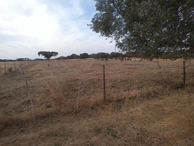 Terreno Agricola ou Rústico para Venda em Barbacena e Vila Fernando Foto 3