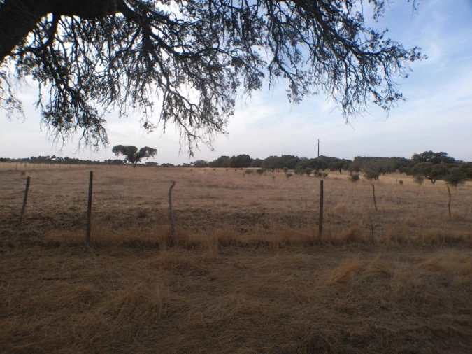 Terreno Agricola ou Rústico para Venda em Barbacena e Vila Fernando Foto 4