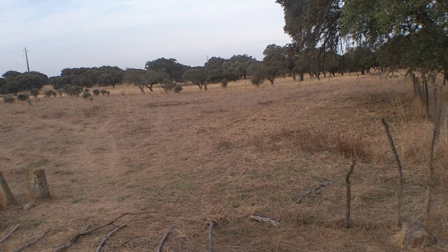 Terreno Agricola ou Rústico para Venda em Barbacena e Vila Fernando