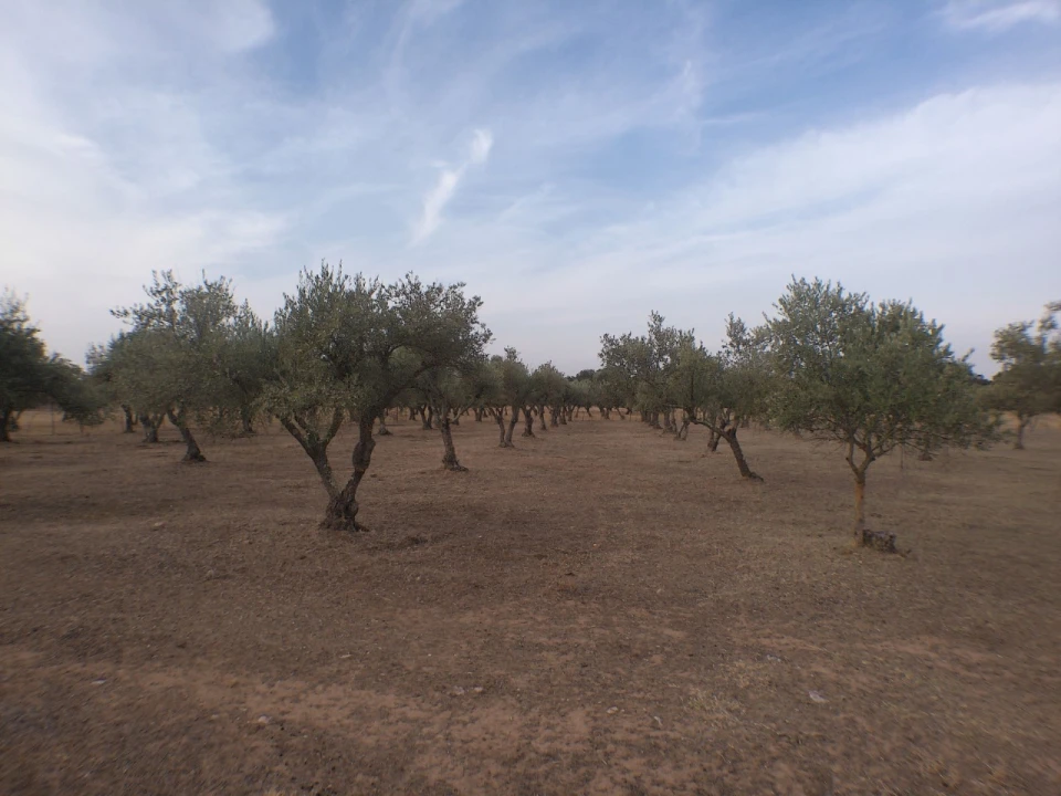 Terreno Agricola ou Rústico para Venda em Barbacena e Vila Fernando Foto 6