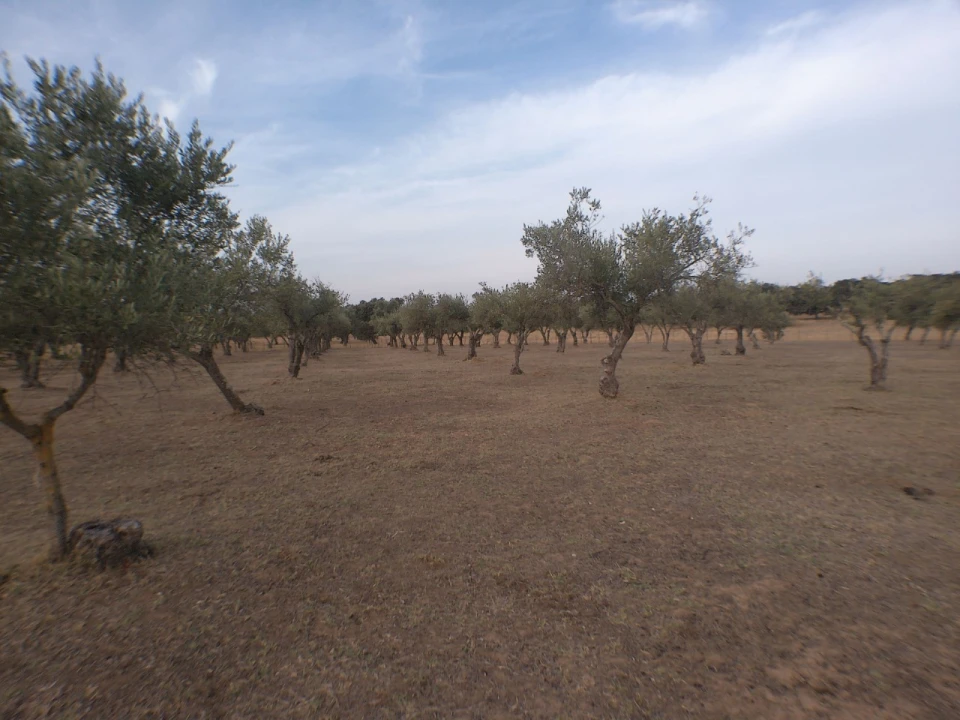 Terreno Agricola ou Rústico para Venda em Barbacena e Vila Fernando Foto 7