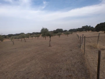 Terreno Agricola ou Rústico para Venda em Barbacena e Vila Fernando