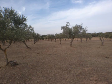 Terreno Agricola ou Rústico para Venda em Barbacena e Vila Fernando